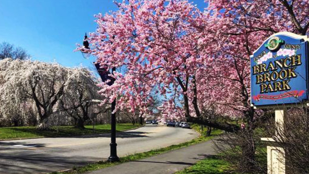 Branch Brook Park in Newark, NJ
