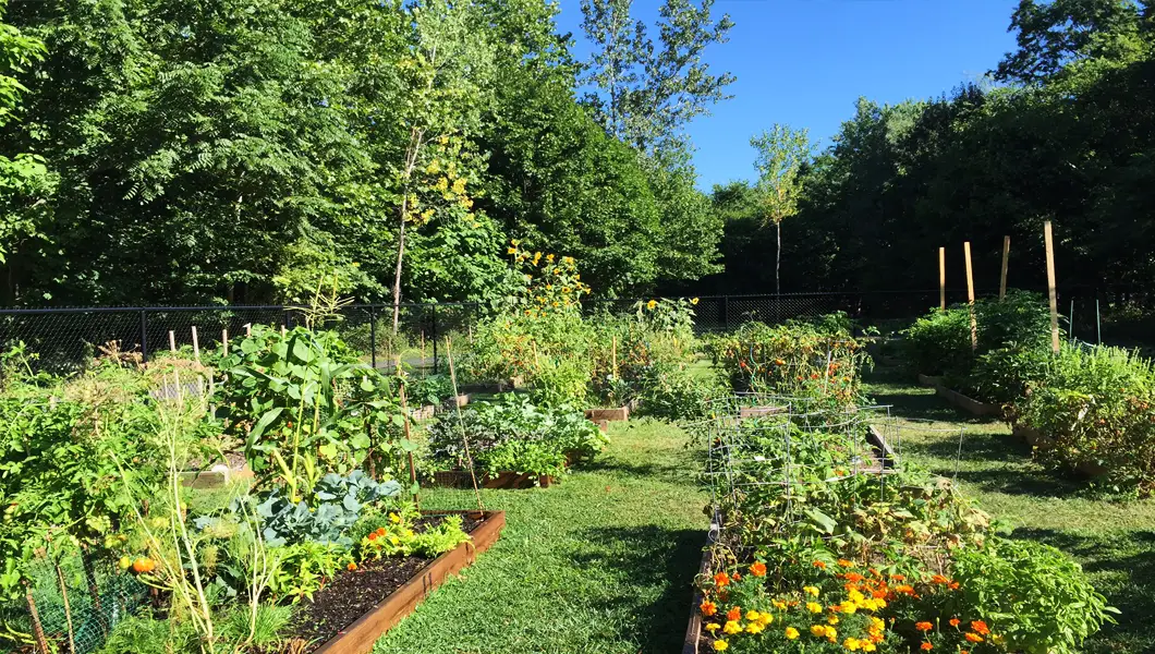 North Haledon community gardens