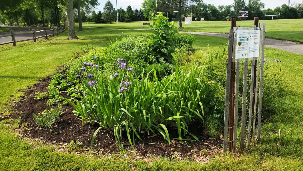 West Windsor pollinator garden